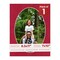 Red Suede Mat Board for 8.5x11 Frames - Oval Opening for 7x10 Photos